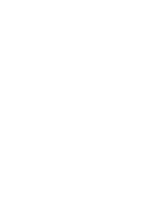 SAS Consulting